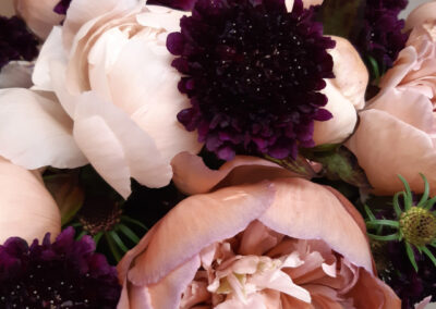 Schnittblumen