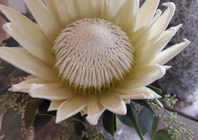Schnittblumen
