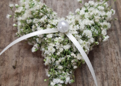 Schnittblumen